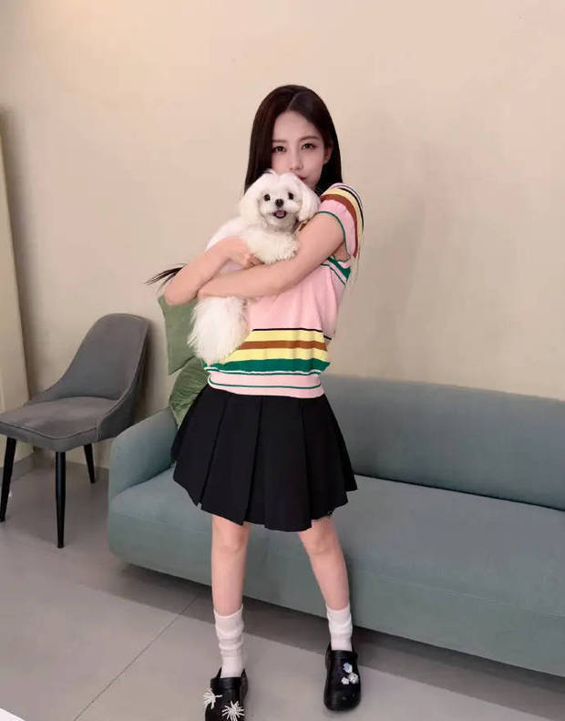 李一桐身着彩色T恤配黑色短裙 怀抱小狗甜美灵动
