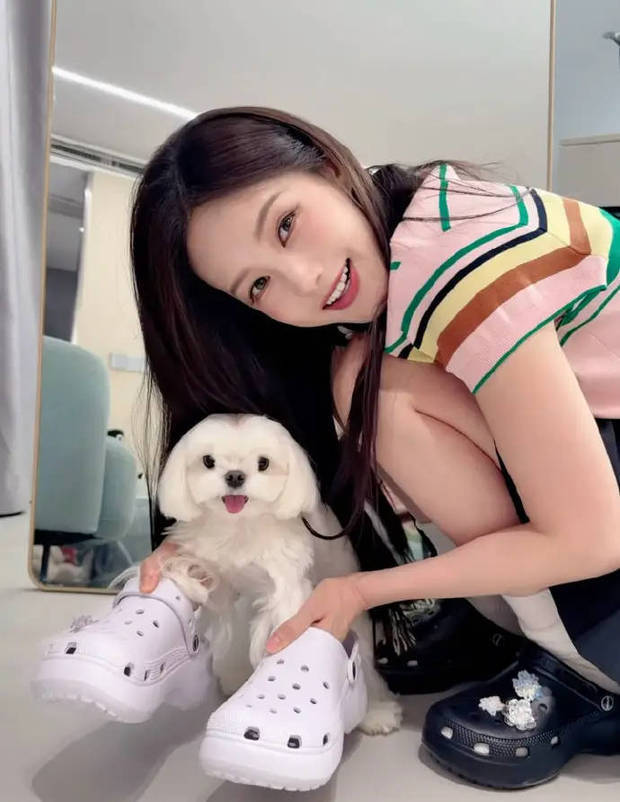 李一桐身着彩色T恤配黑色短裙 怀抱小狗甜美灵动