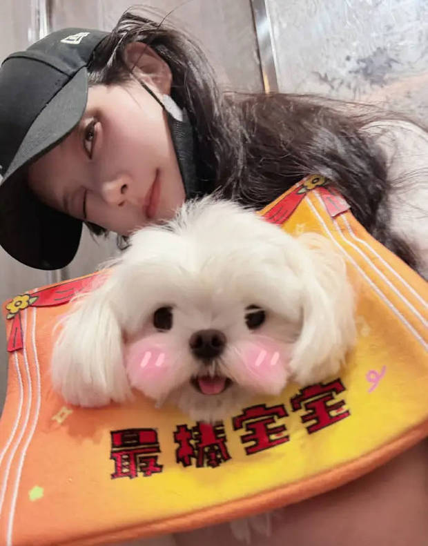 李一桐身着彩色T恤配黑色短裙 怀抱小狗甜美灵动